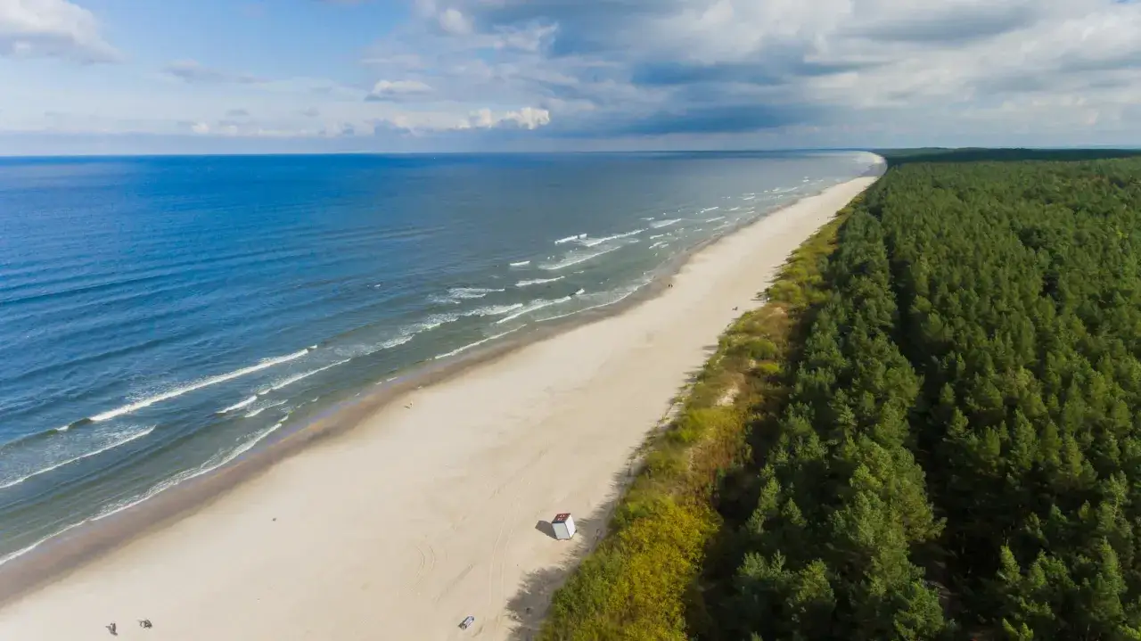 Szeroka, piaszczysta plaża na Mierzei Wiślanej, otoczona gęstym lasem sosnowym. W oddali widać morze i chmury.