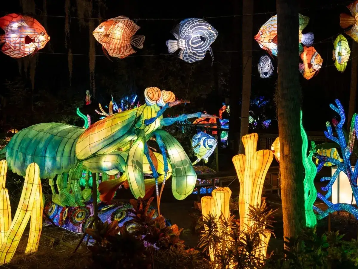 &Eacute;clairage f&eacute;erique d'un festival de **lanterne Tha&iuml;lande** : un immense insecte vert et color&eacute;, des poissons volants et des coraux lumineux dans la nuit.