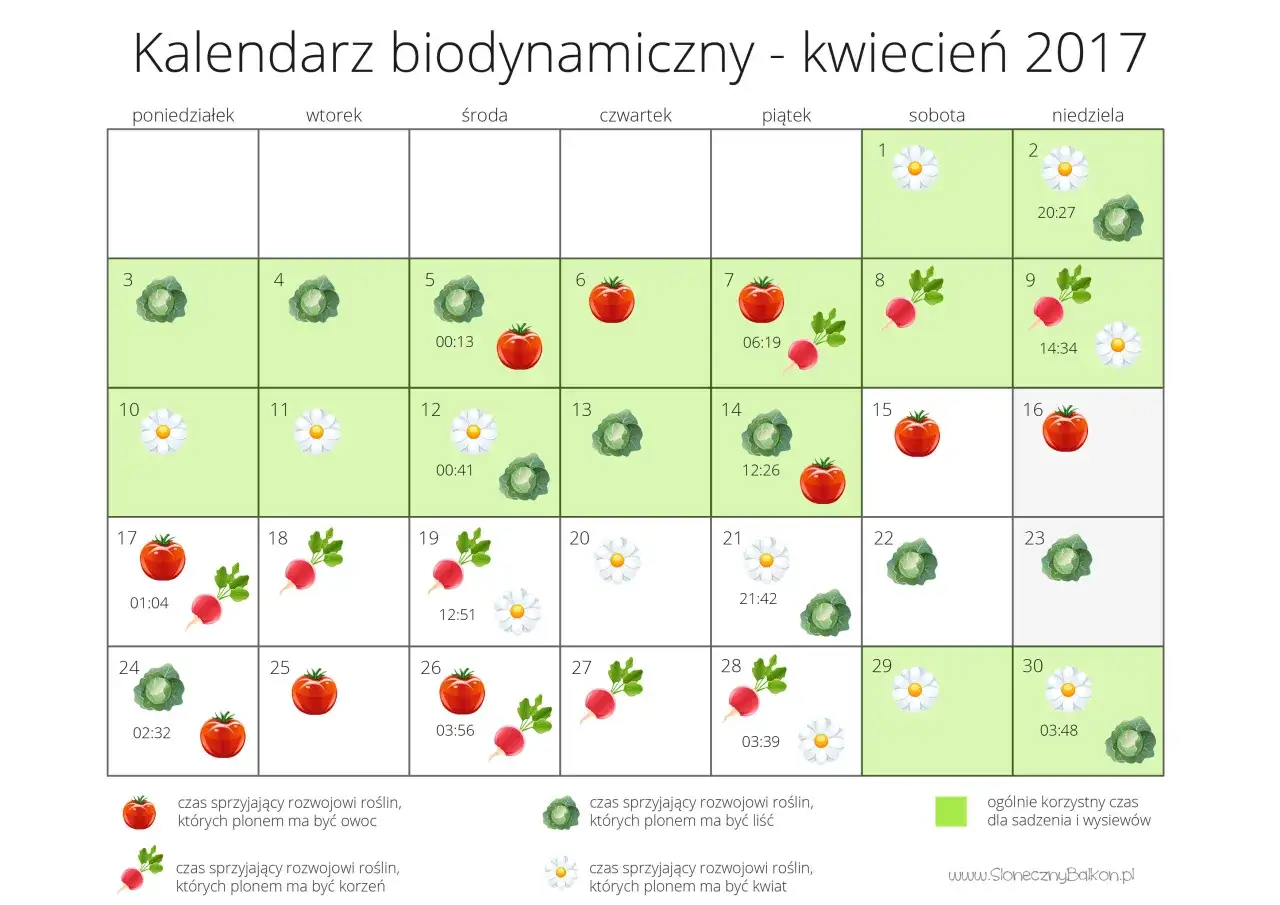 kalendarz ogrodnika polska miesiące