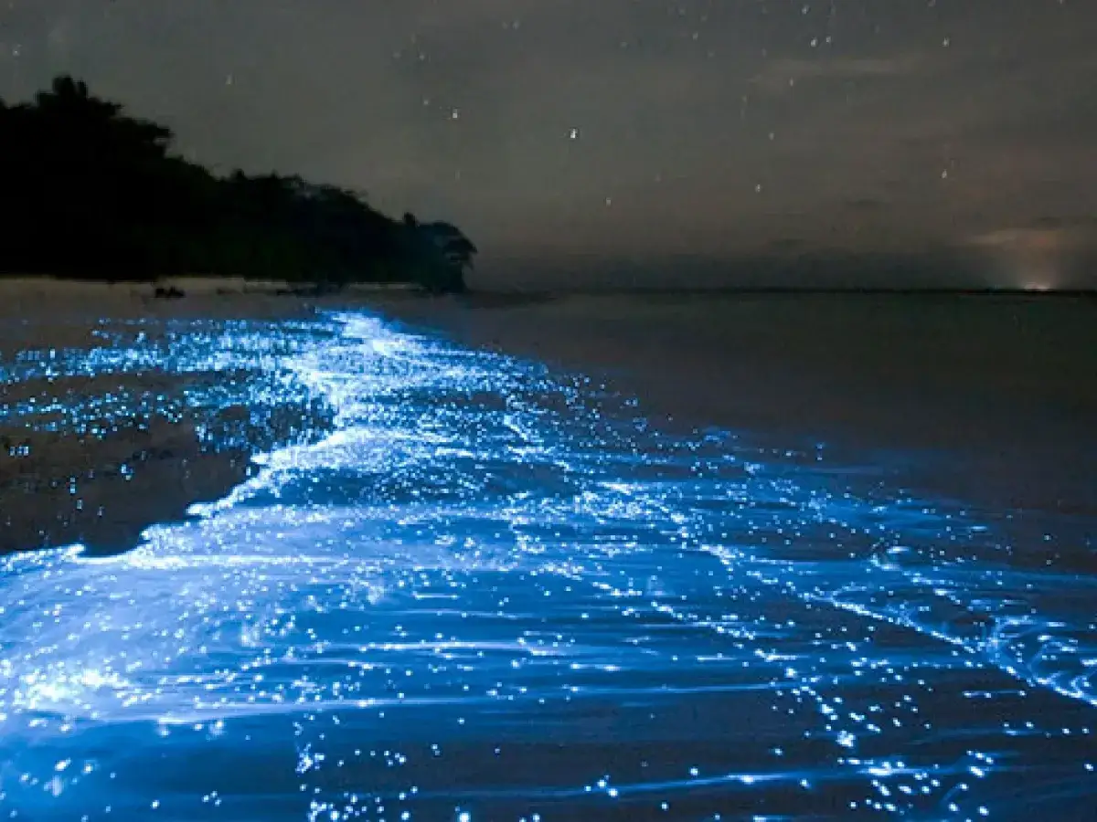 Nocna kosmiczna plaża Malediwów, gdzie fale rozświetlają piasek niebieskim blaskiem fitoplanktonu.