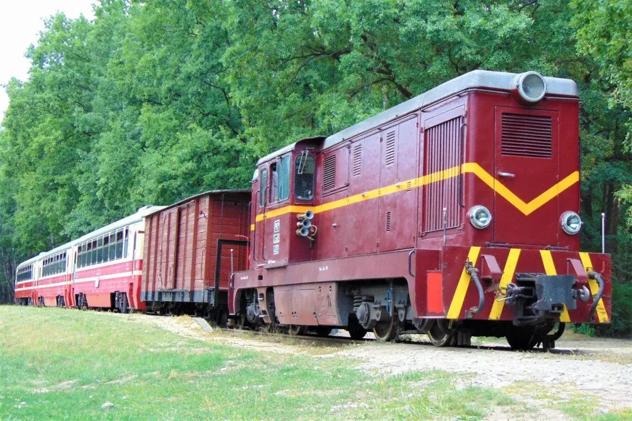 Czerwona lokomotywa z żółtymi pasami i wagonami na tle zielonego lasu. Idealne piaseczno atrakcje na weekend dla miłośników kolei.