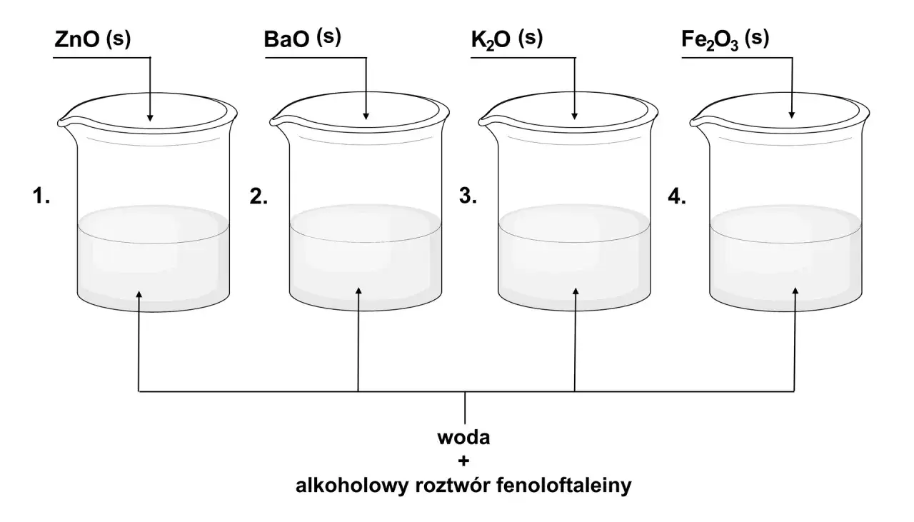 Cztery zlewki z różnymi tlenkami (ZnO, BaO, K2O, Fe2O3) reagują z wodą i fenoloftaleiną, tworząc wodorotlenki.