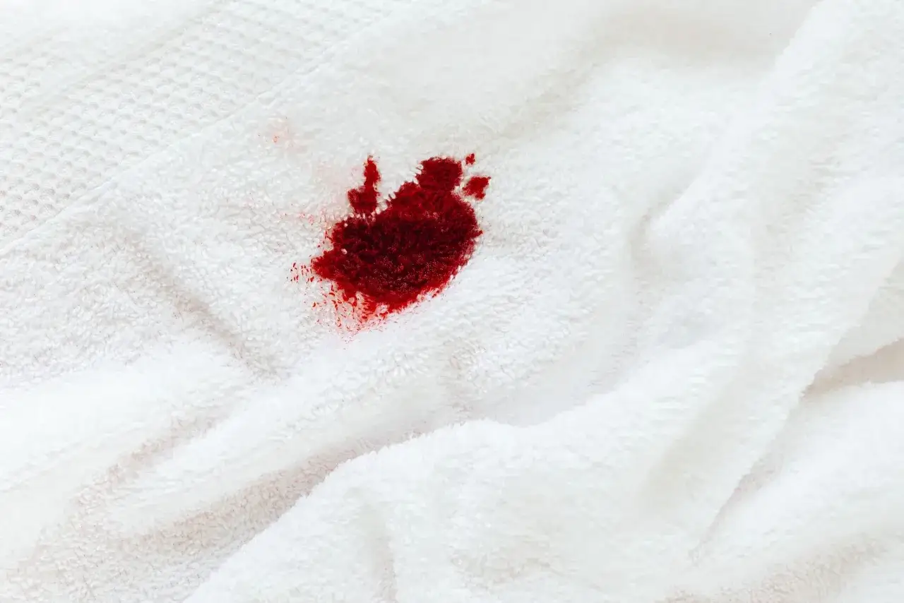 Ein roter Fleck, wie ein blutfleck auf wei&szlig;er Kleidung, ist auf dem weichen Stoff zu sehen.