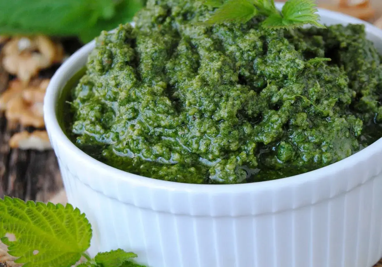 Pesto z pokrzywy w białej miseczce, obok orzechów włoskich i świeżych liści pokrzywy.