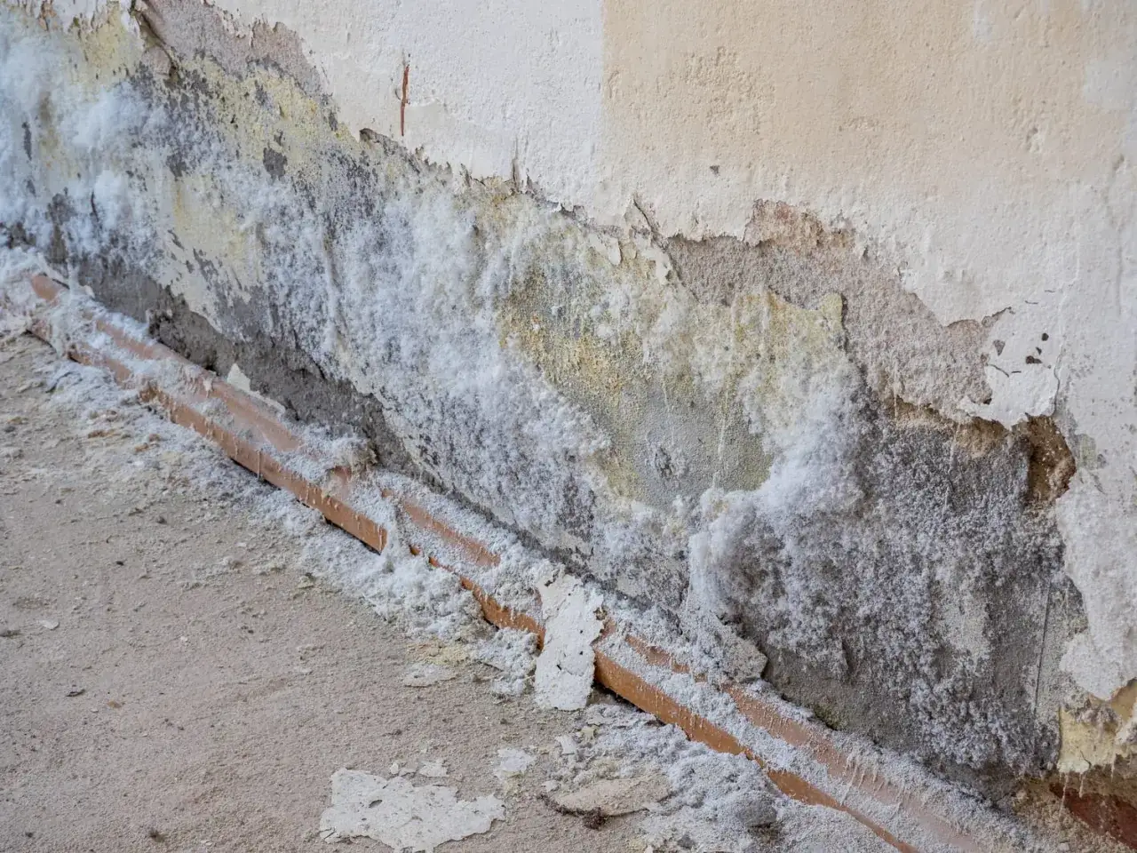 Efflorescence blanche, signe de salpêtre, envahit le mur et le joint du carrelage. La maçonnerie s'effrite.