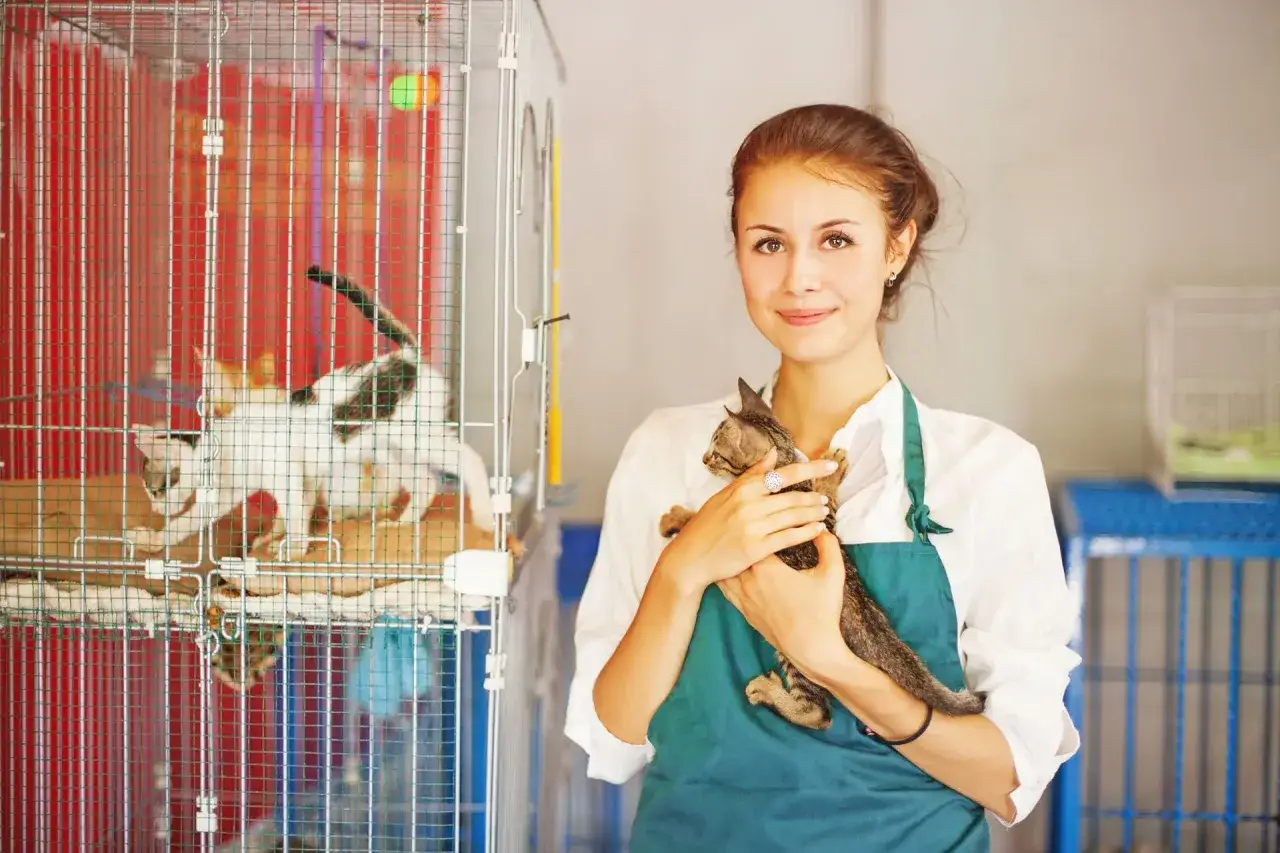 Une jeune femme souriante, portant un tablier, tient un chaton. Derrière elle, des cages abritent d'autres chats. Elle aime travailler dans un refuge.