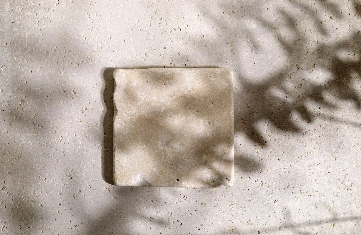 Une petite tache sur un carreau de travertin, baigné par la lumière du soleil filtrant à travers des feuilles.