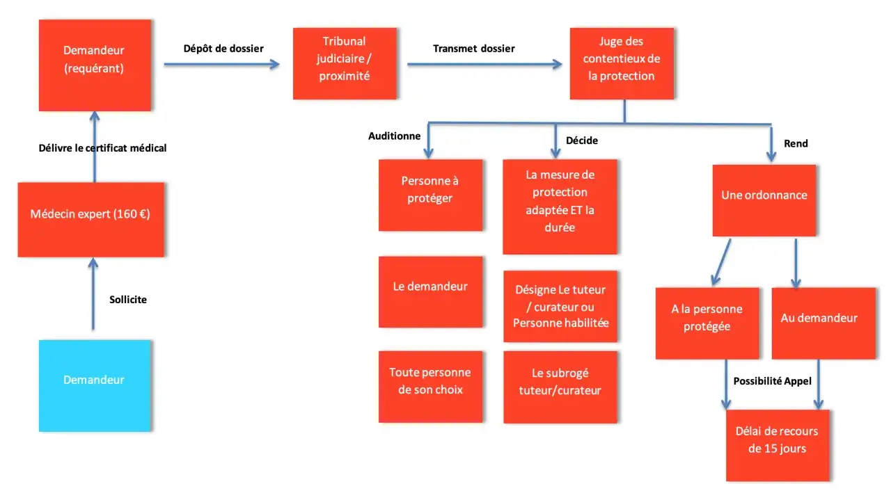 Sch&eacute;ma du processus de curatelle renforc&eacute;e : d&eacute;p&ocirc;t de dossier, audition, d&eacute;cision du juge, ordonnance, d&eacute;signation d'un tuteur/curateur.