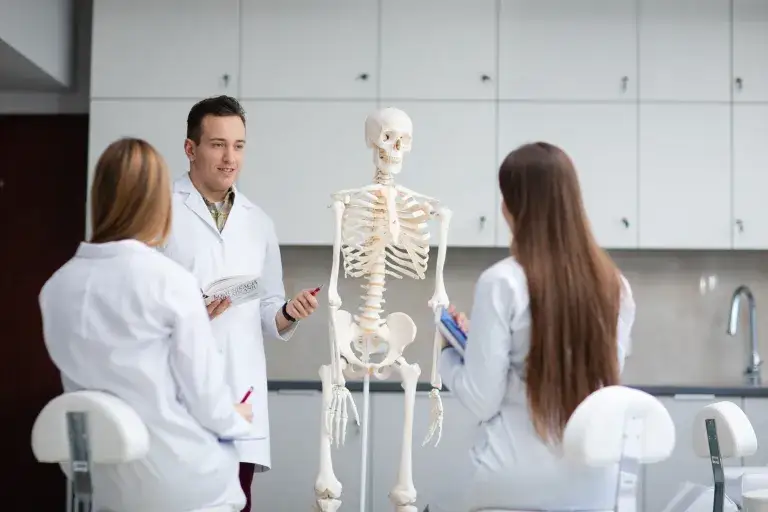 studia fizjoterapia anatomia