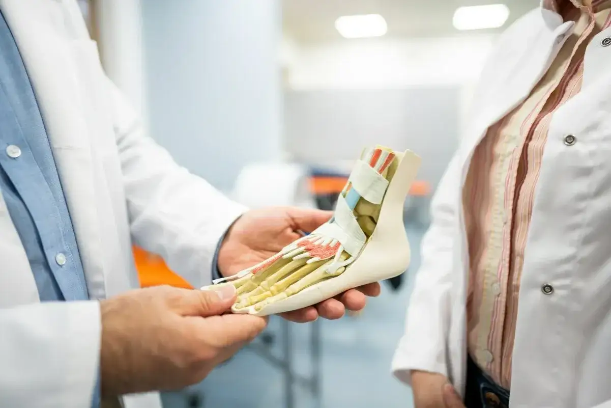 Model stopy z widocznymi kośćmi i więzadłami, omawiany przez lekarzy. Kluczowy element w nauczaniu traumatologii.