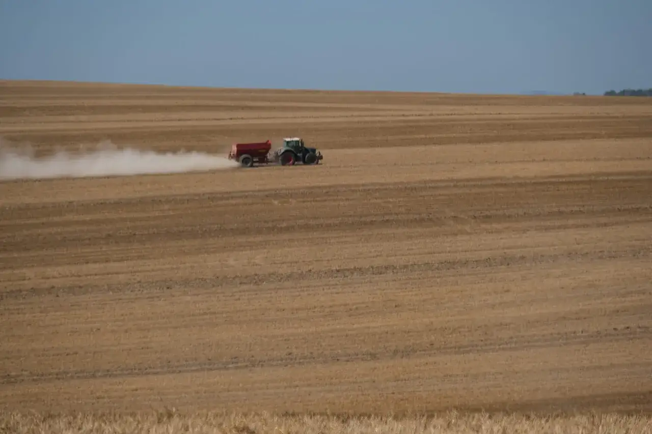 Traktor z przyczepą rozsypuje nawóz na polu, tworząc białą smugę pyłu. To typowy widok jesiennych prac polowych.