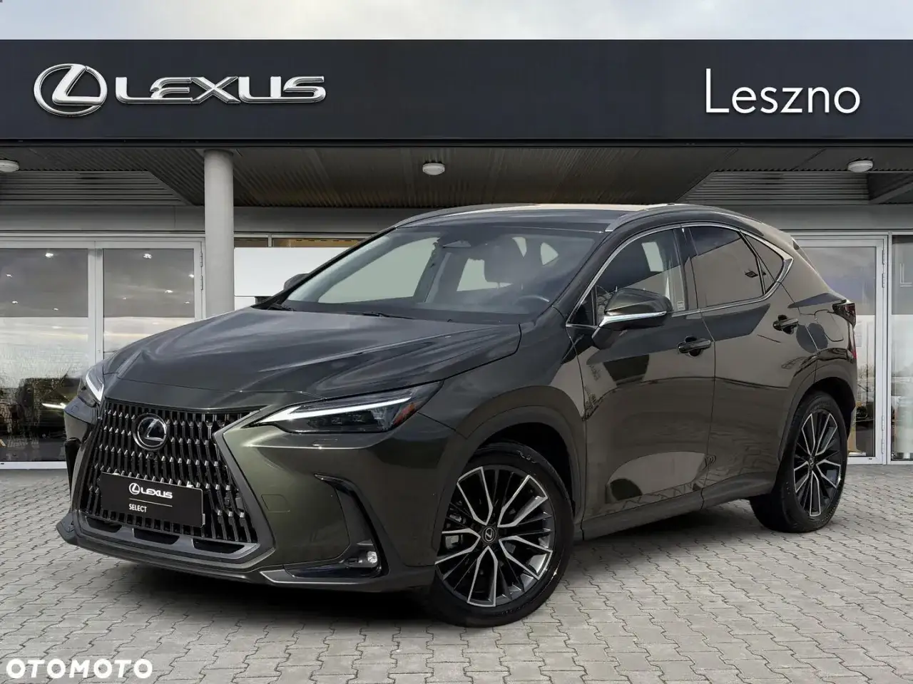 Elegancki, ciemnozielony Lexus NX na tle salonu Lexus Leszno. Idealny wybór dla szukających luksusowych lexusów używanych.