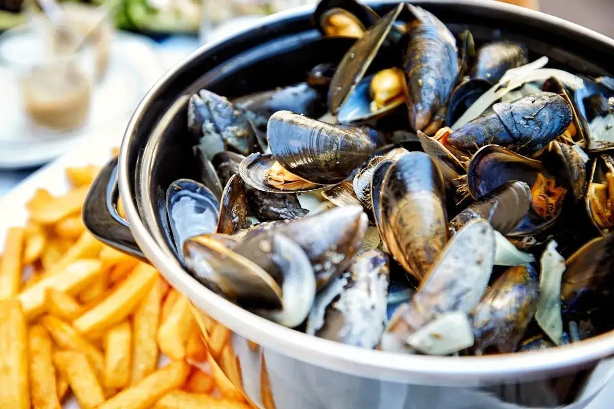 En stor kastrull med ångande blåmusslor, perfekt för en härlig middag med vin till moules frites. Krispiga pommes frites syns i bakgrunden.