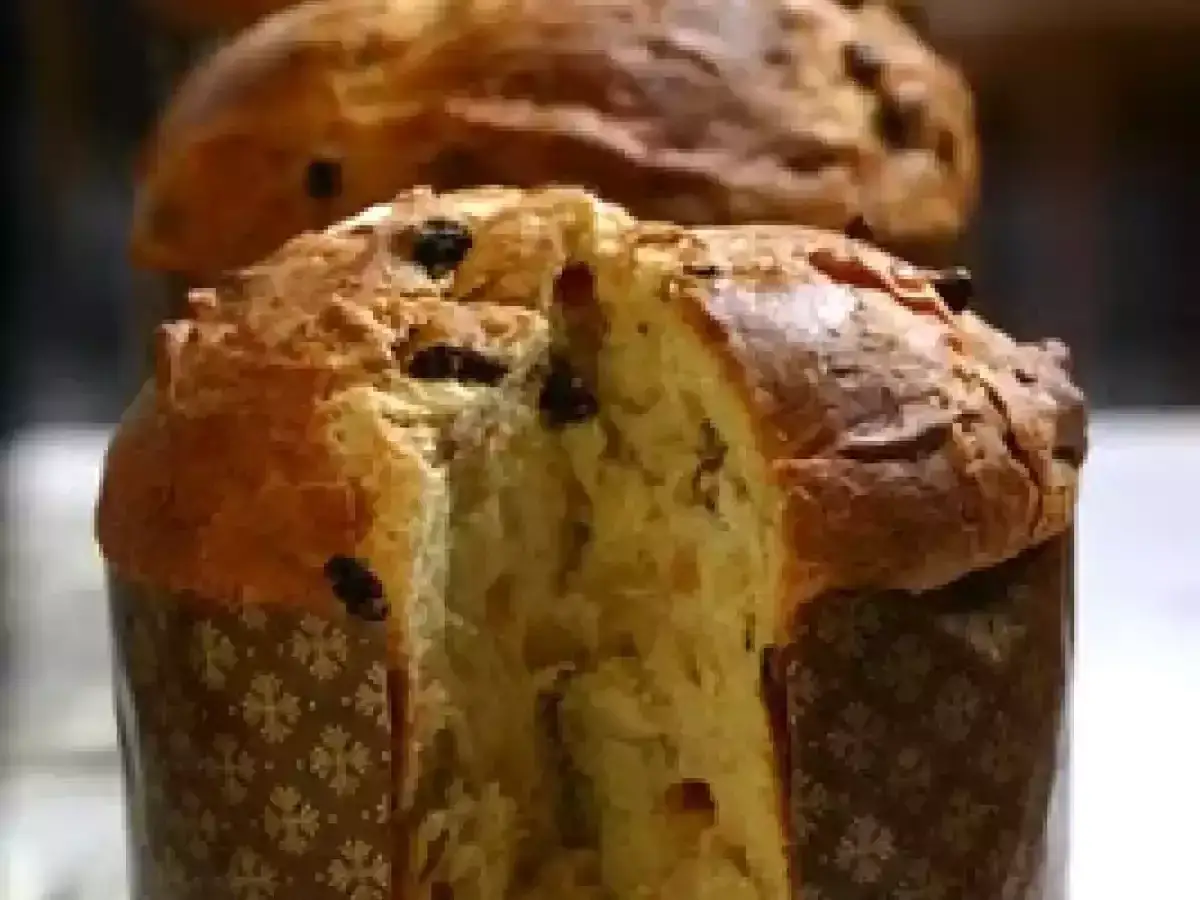 Panettone casero, perfecto para tu próxima receta de pan dulce. Suave y esponjoso, con pasas.