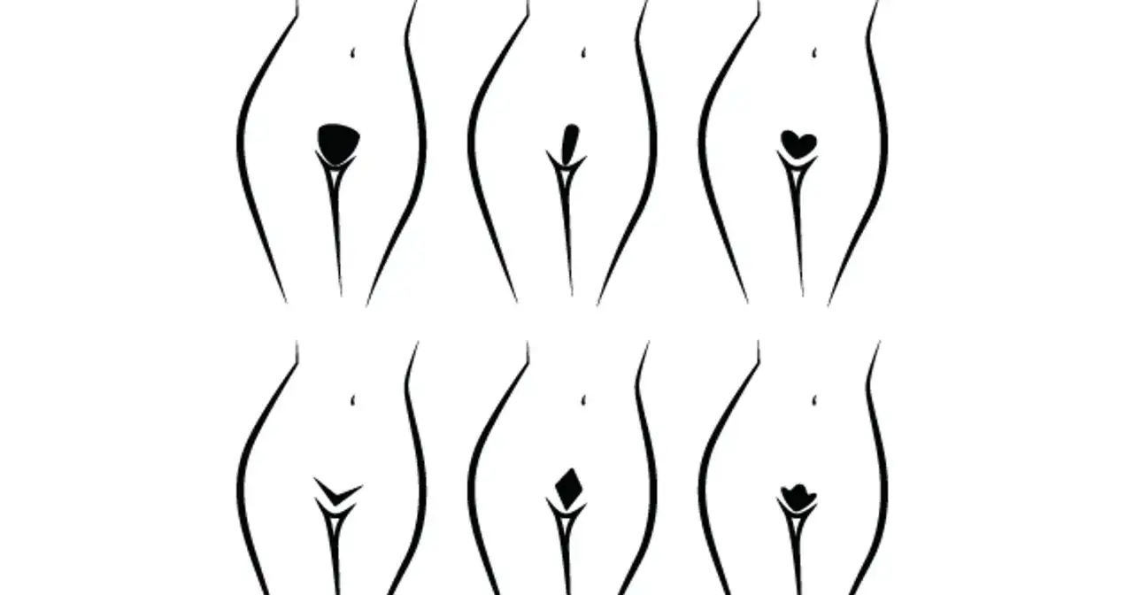 Sześć stylizacji bikini głębokie co obejmuje: kształt serca, łzy, kwiatka, rombu, trójkąta i naturalny.