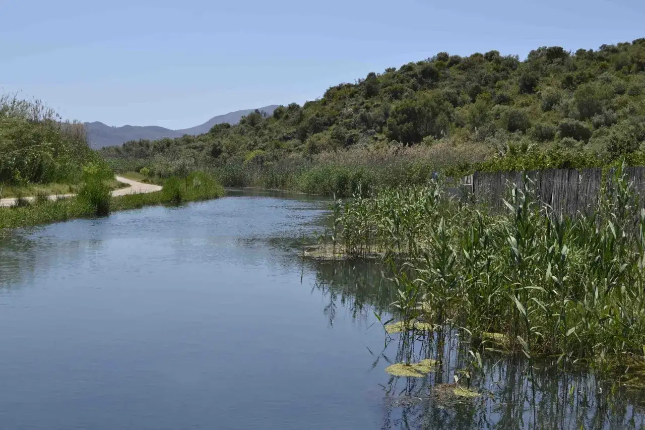 Un r&iacute;o tranquilo fluye entre juncos y vegetaci&oacute;n exuberante, con una colina cubierta de olivos y arbustos al fondo.