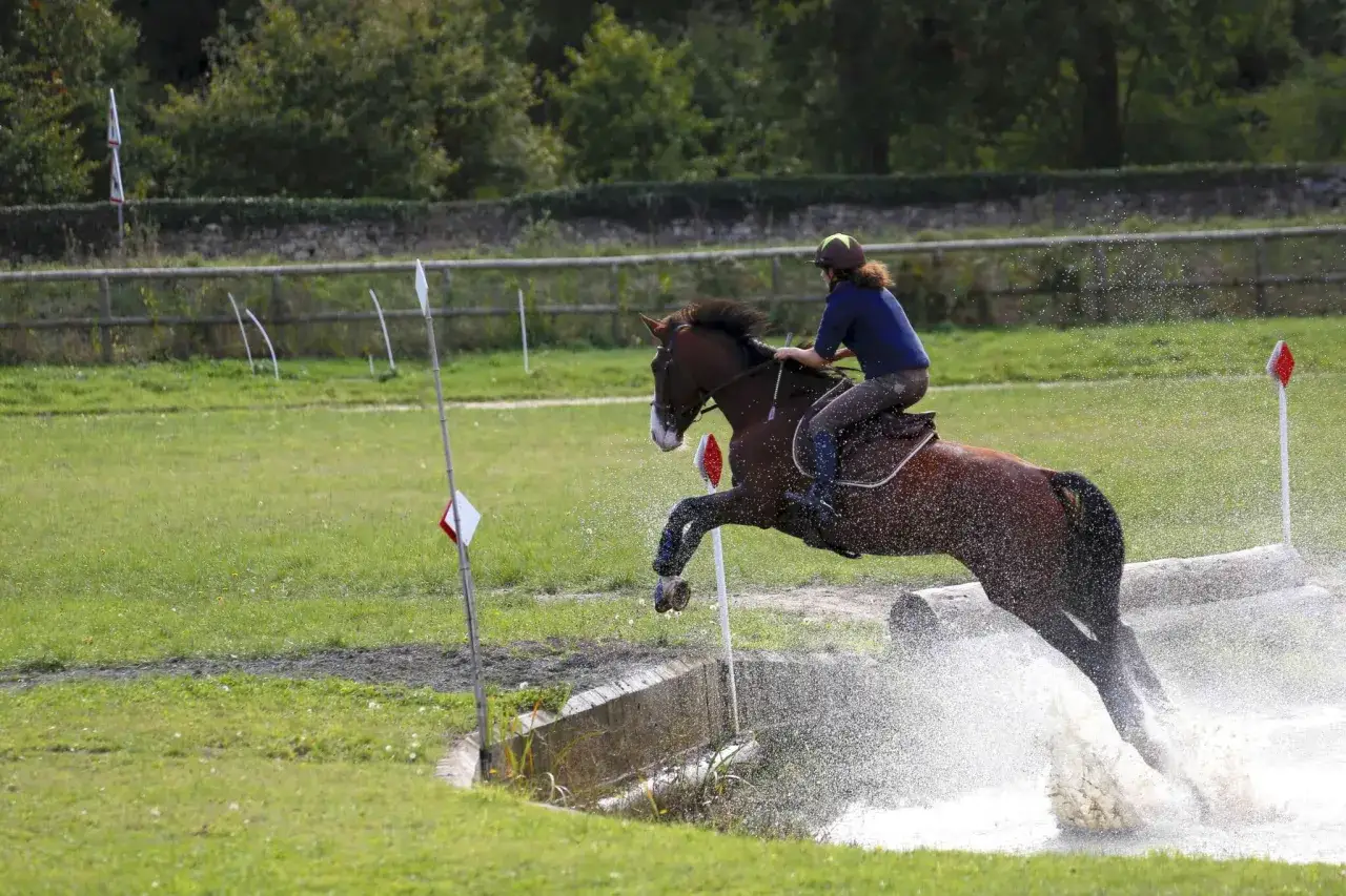 Un cheval et son cavalier franchissent un obstacle d'eau lors d'une épreuve de cross. L'eau éclabousse autour du cheval en plein saut.