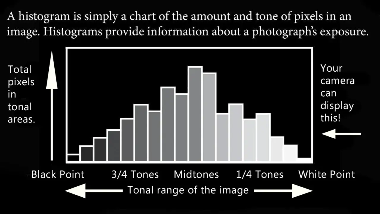 Histogram pokazujący rozkład ton&oacute;w zdjęcia, pomocny w ocenie kompensacji ekspozycji. Od czerni po biel.