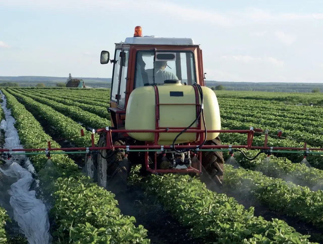 Traktor wykonuje oprysk na truskawki, chroniąc plantację przed szkodnikami.