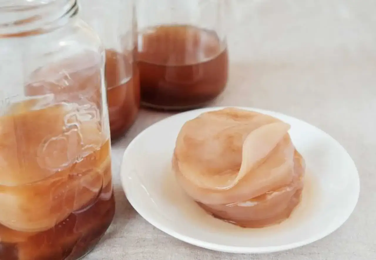Składniki do hodowli SCOBY kombucha