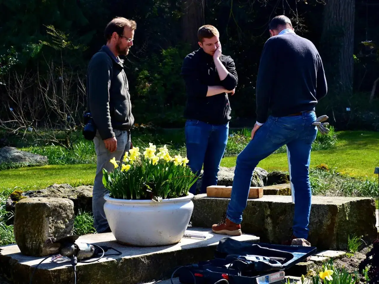 Drei M&auml;nner im Garten, umgeben von gelben Narzissen. Einer h&auml;lt eine Kamera, ein anderer wirkt nachdenklich. Vielleicht entdecken sie hier Erlanger Geheimtipps f&uuml;r die Gartengestaltung.