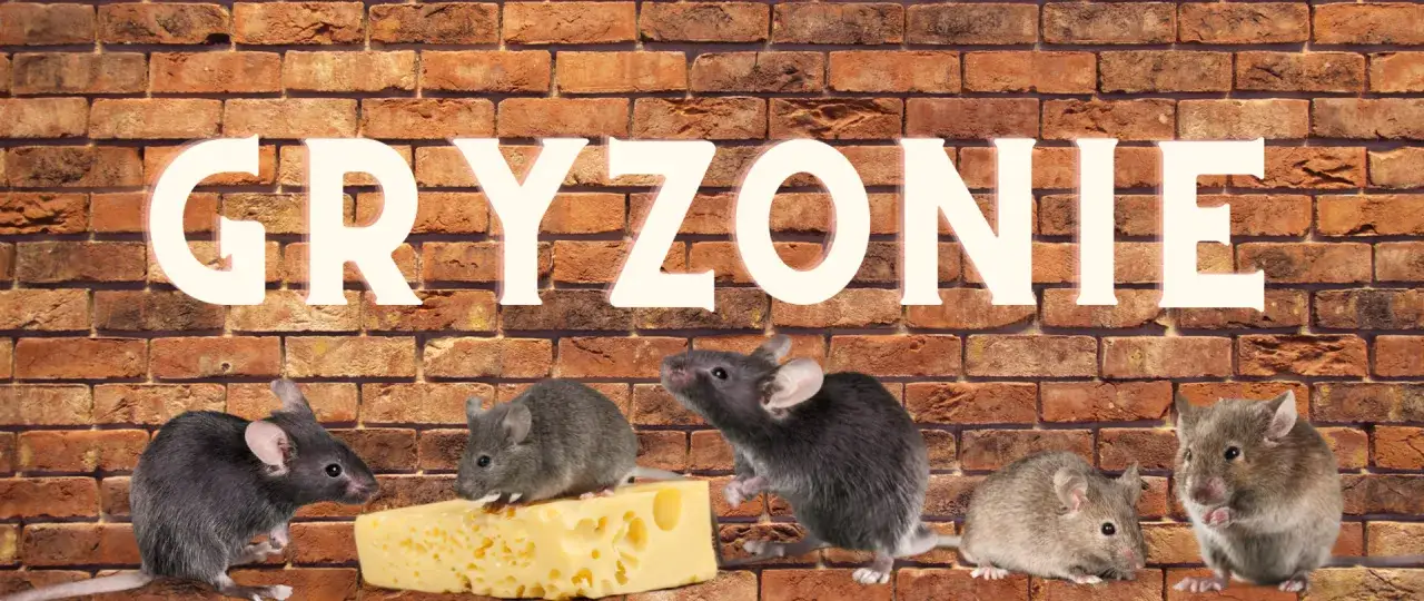 Pięć myszy przy ceglanej ścianie, jedna na serze. Napis 