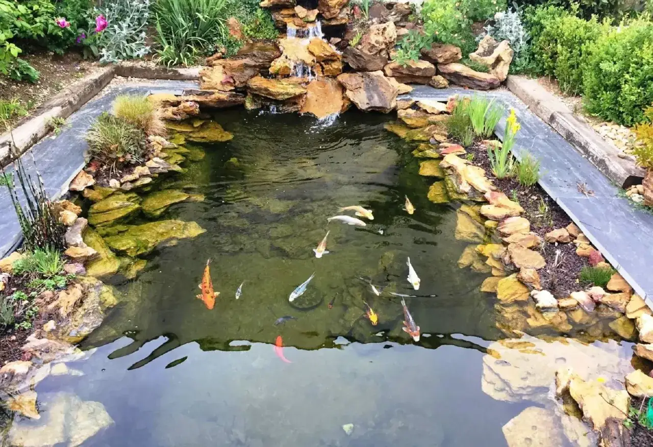 Bassin d'agrément avec cascade et poissons koï, entouré de rochers et de végétation. Un espace paisible, loin du regard des voisins.