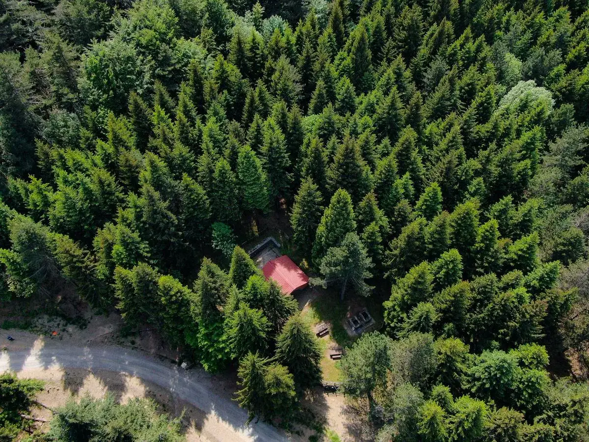 Un rifugio con tetto rosso si nasconde tra gli alberi fitti, vicino a una strada sterrata. Un luogo tranquillo nel **passo del Brattello**.