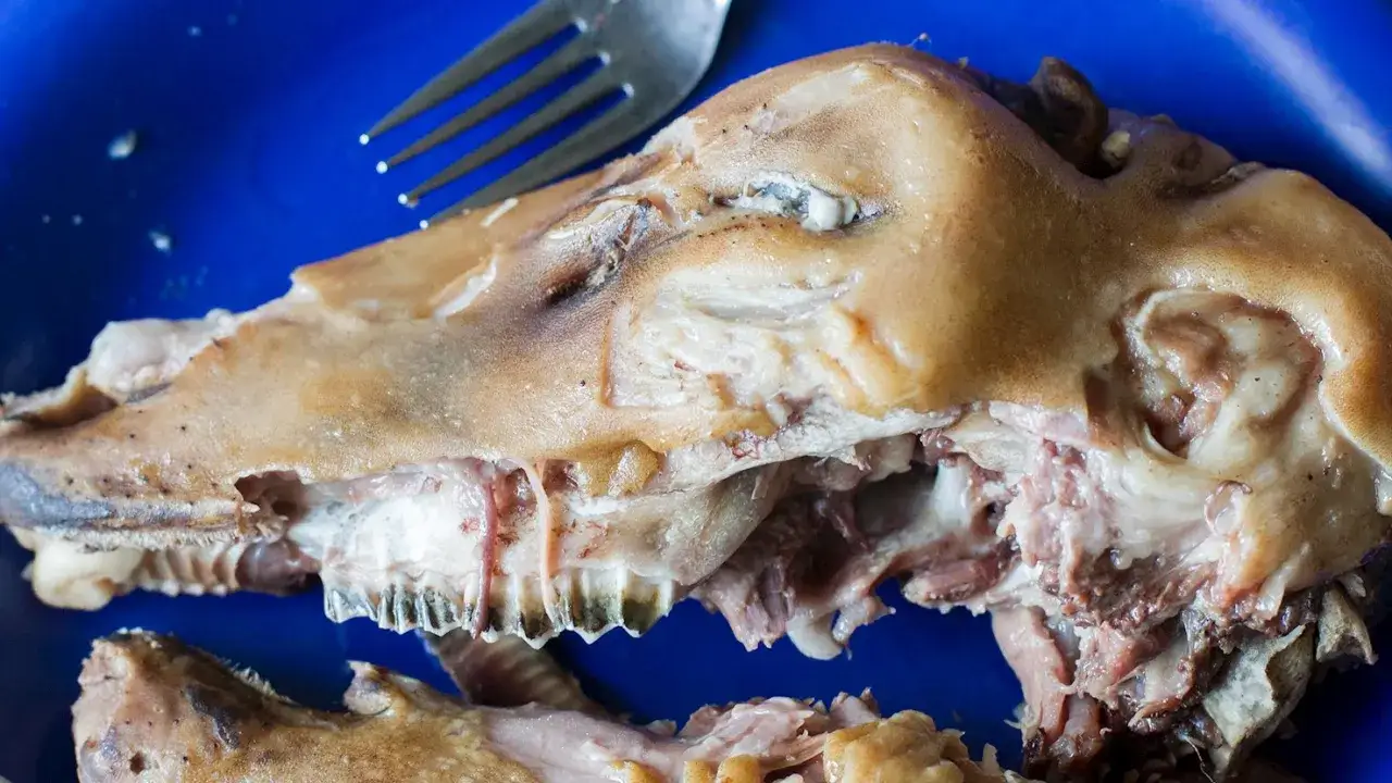 Tête de porc cuite sur une assiette bleue, un plat dégoûtant avec une fourchette.