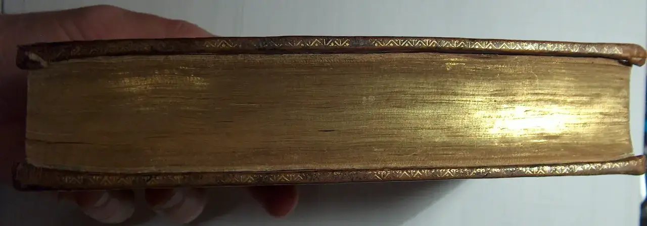 Une main tient un livre ancien dont la tranche est dorée et ornée de motifs. La tranche livre brille sous la lumière.