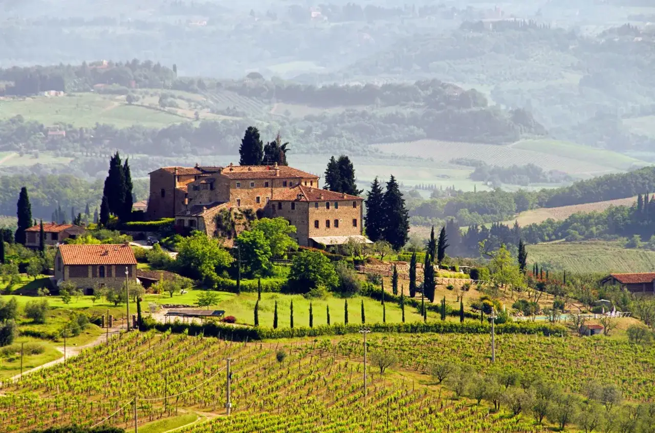 Vue d'un vignoble dans la province de Florence, avec une ferme toscane perch&eacute;e sur une colline verdoyante.