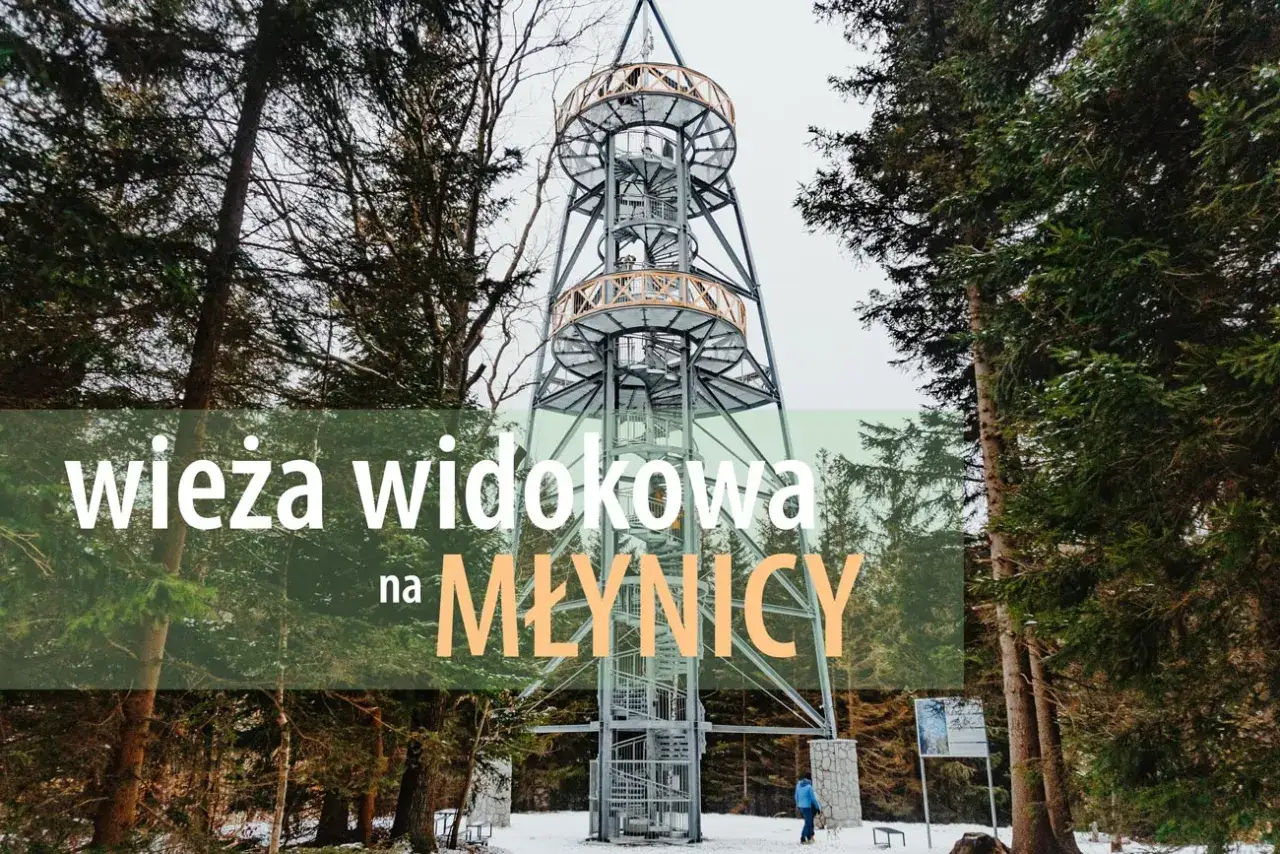 Wysoka, metalowa wieża widokowa na Młynicy, otoczona zimowym lasem. Widać kręcone schody i platformy.