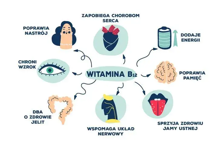 Seniorzy i niedobór witaminy B12 - ilustracja problemu