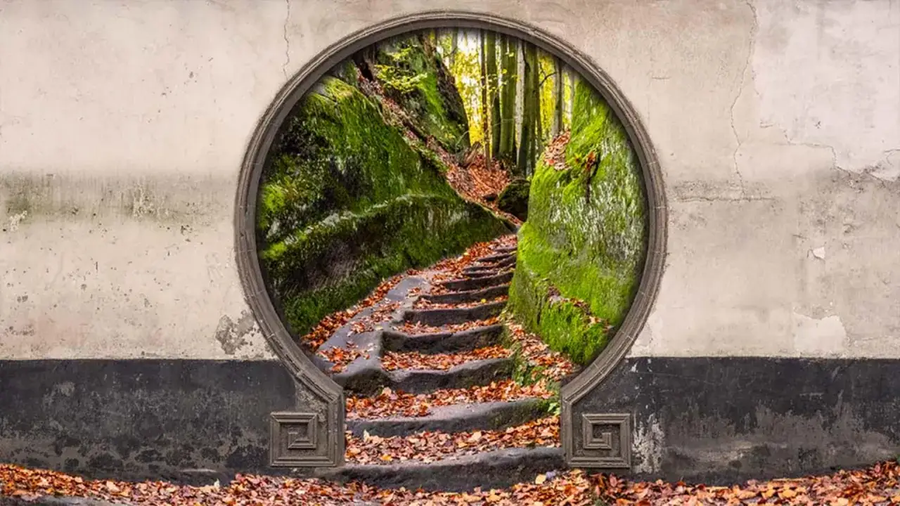 Un escalier couvert de feuilles d'automne mène à une forêt luxuriante, comme une fenêtre ouverte sur un autre monde. Un montage photo Photoshop qui invite à l'évasion.