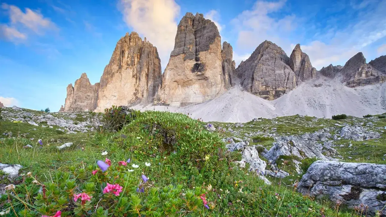 Wetter bei den Drei Zinnen: Alpine Wiesen bl&uuml;hen unter dramatischen Felsformationen und blauem Himmel mit Wolken.