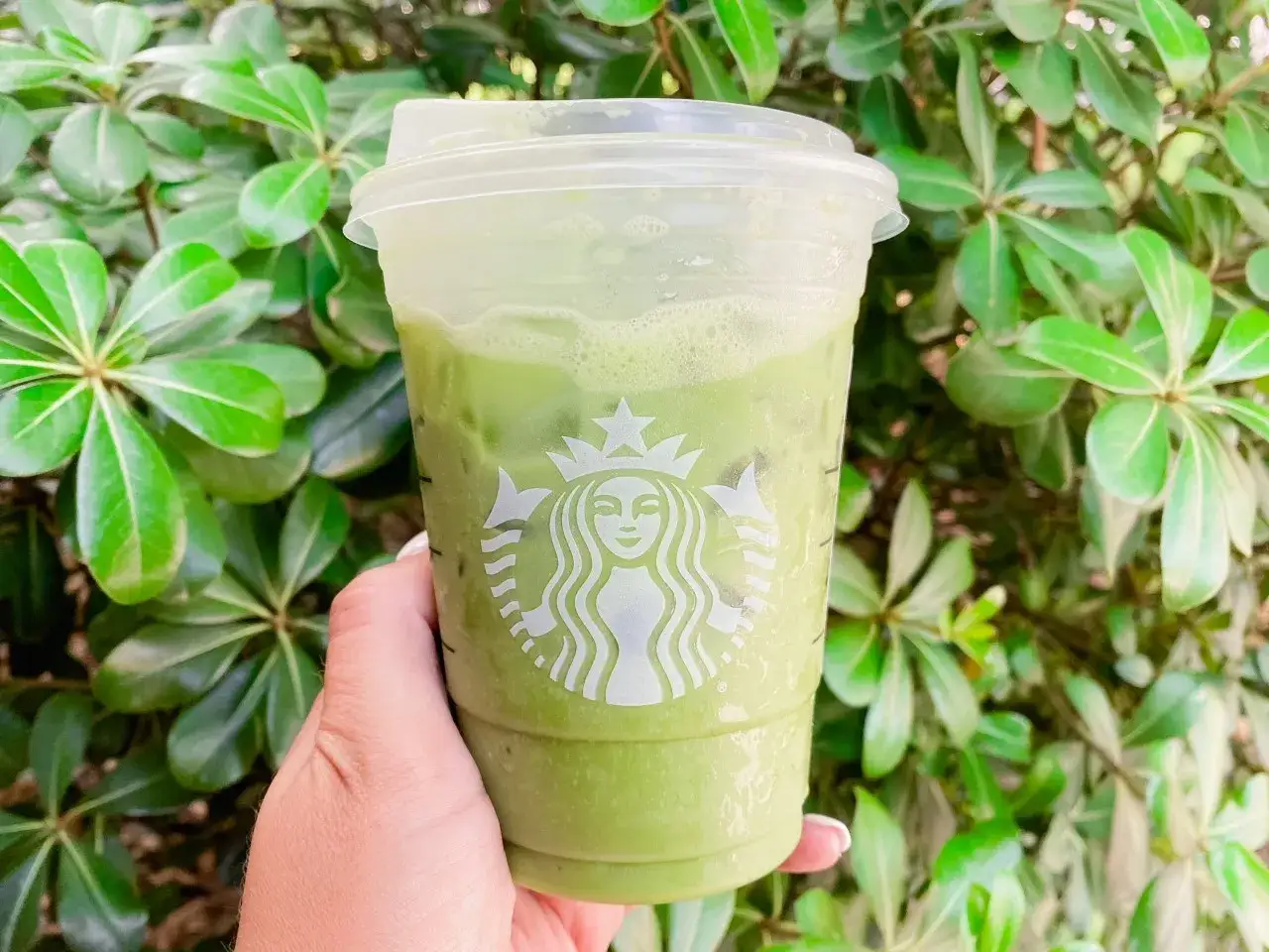 Eisiger Matcha Latte im Starbucks-Becher, perfekt für heiße Tage. Die genauen matcha latte kcal sind hier nicht ersichtlich, aber er ist erfrischend.