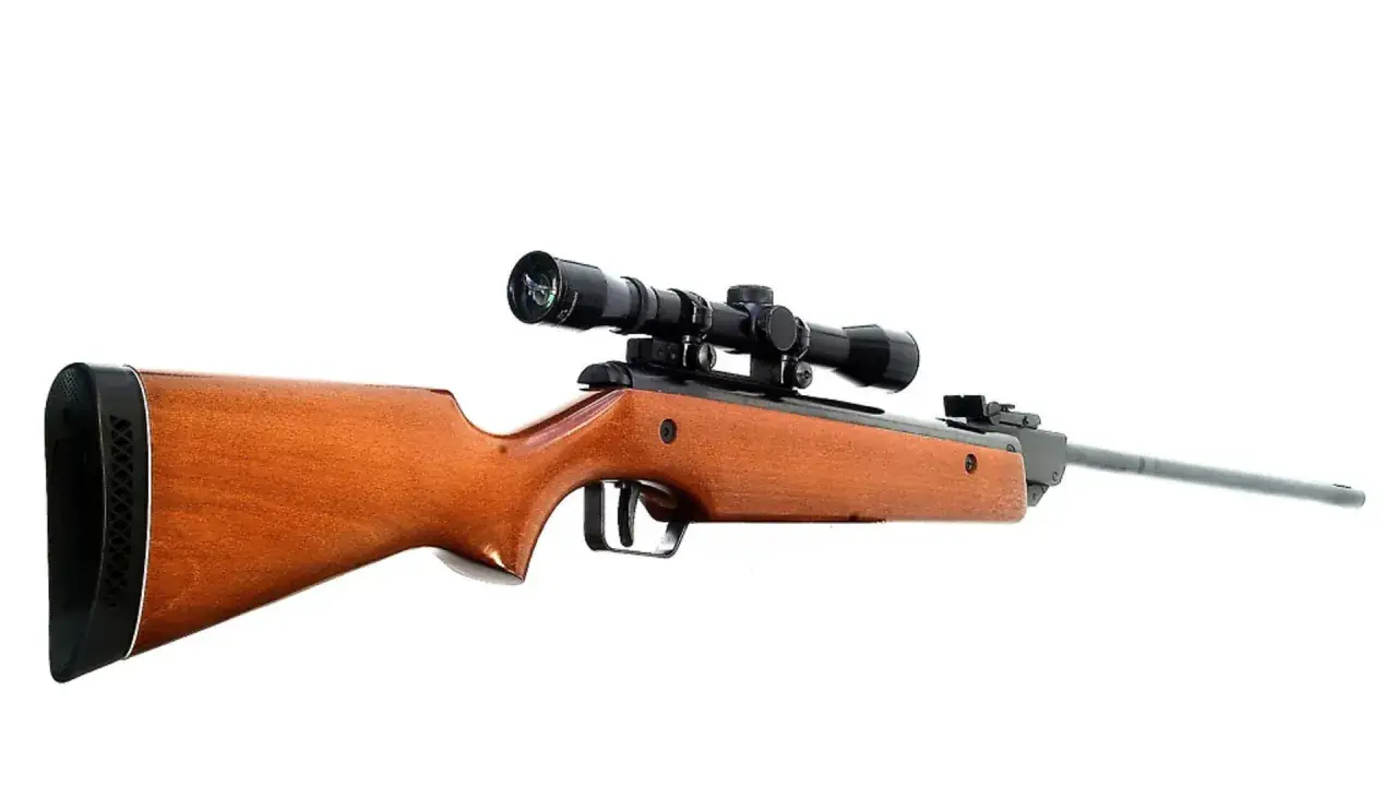 Carabine à air comprimé avec lunette. Pour savoir dans quel sens mettre un plomb dans une carabine, il faut observer le canon.