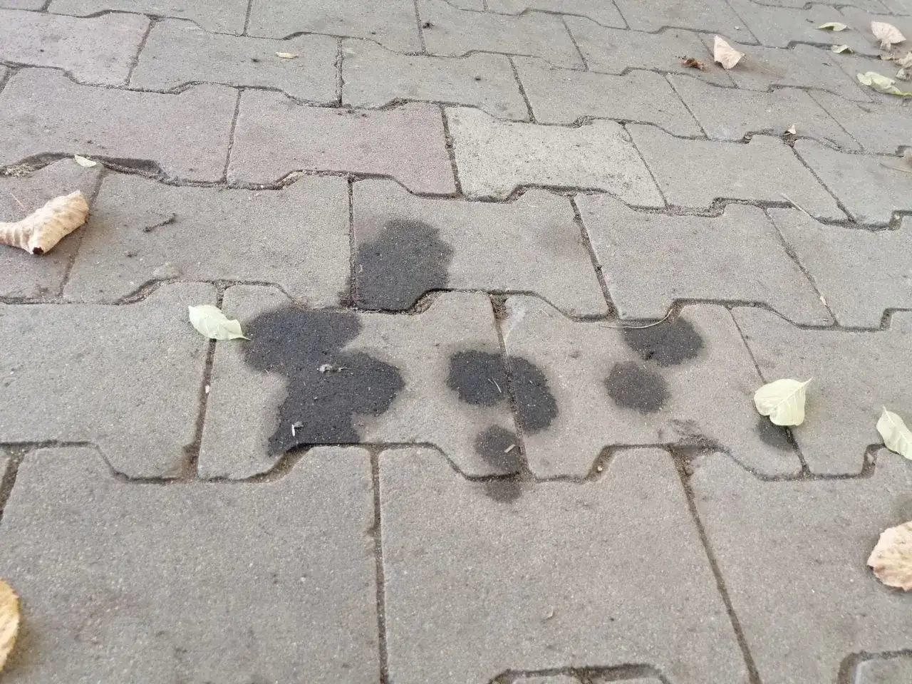 Plamy oleju silnikowego na kostce brukowej przed domem? Oto jak je usunąć.