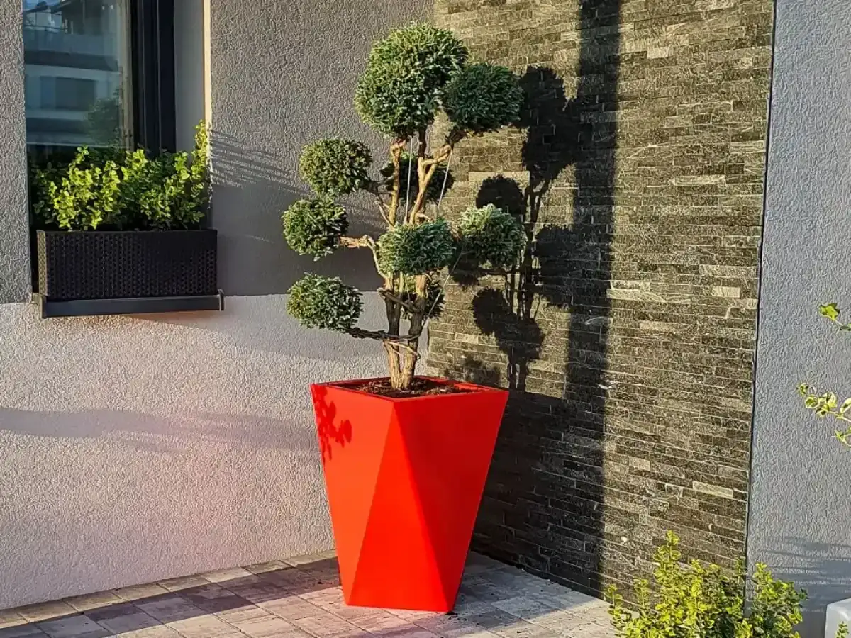 Krzewy w donicach przed domem. Jasnoczerwona donica z drzewkiem bonsai i zielone krzewy w czarnej skrzynce pod oknem.
