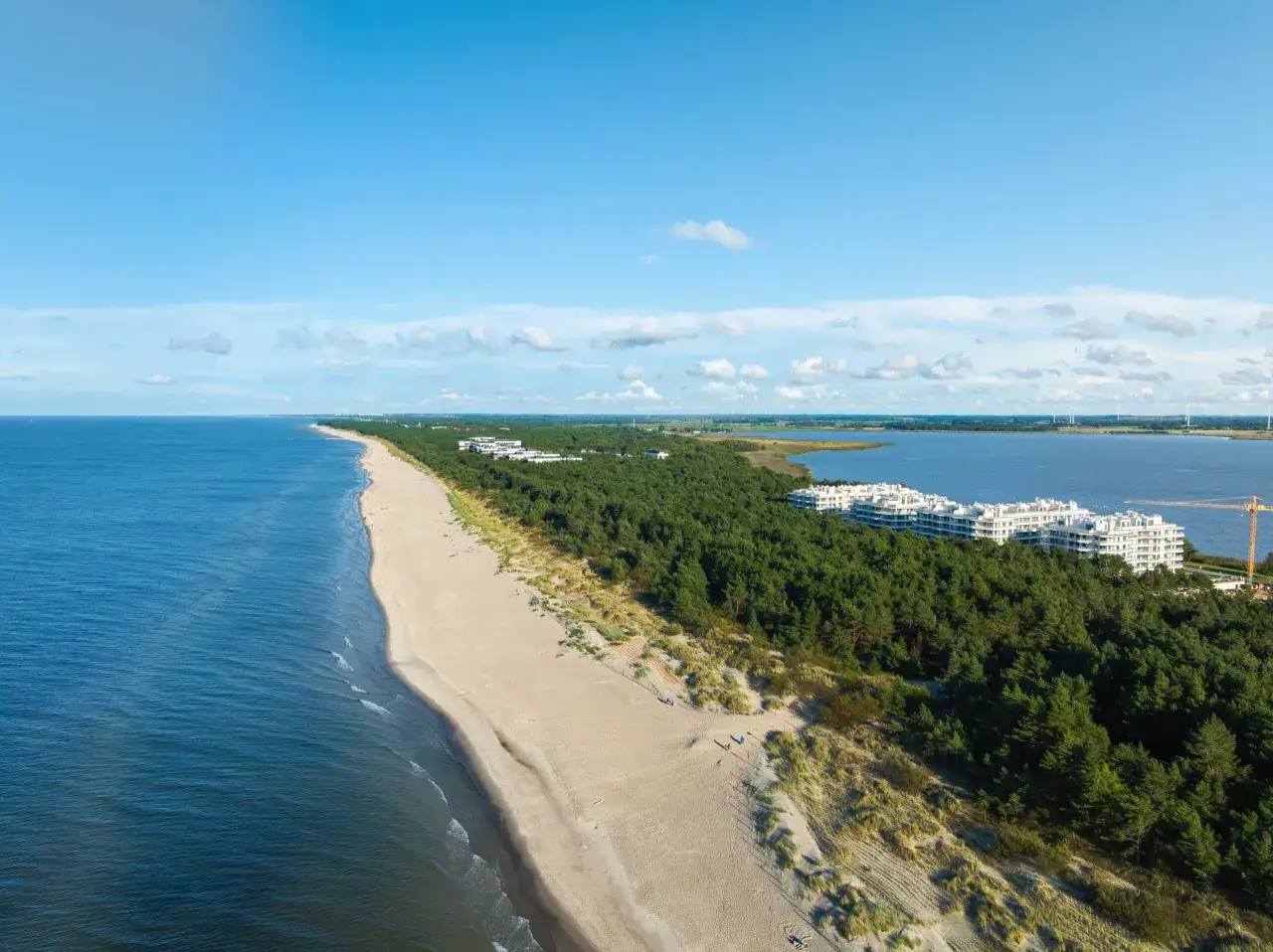 Piękna plaża i las sosnowy w Rogowie, z nowoczesnymi apartamentami w tle.