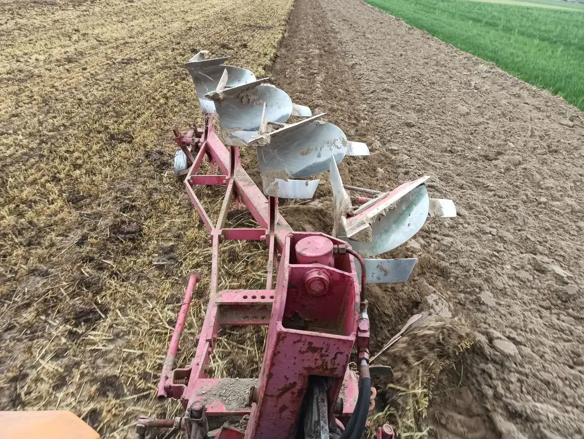 Czerwony pług pracuje na polu, odwracając ziemię. Precyzyjna regulacja pługa zapewnia idealne zaoranie.