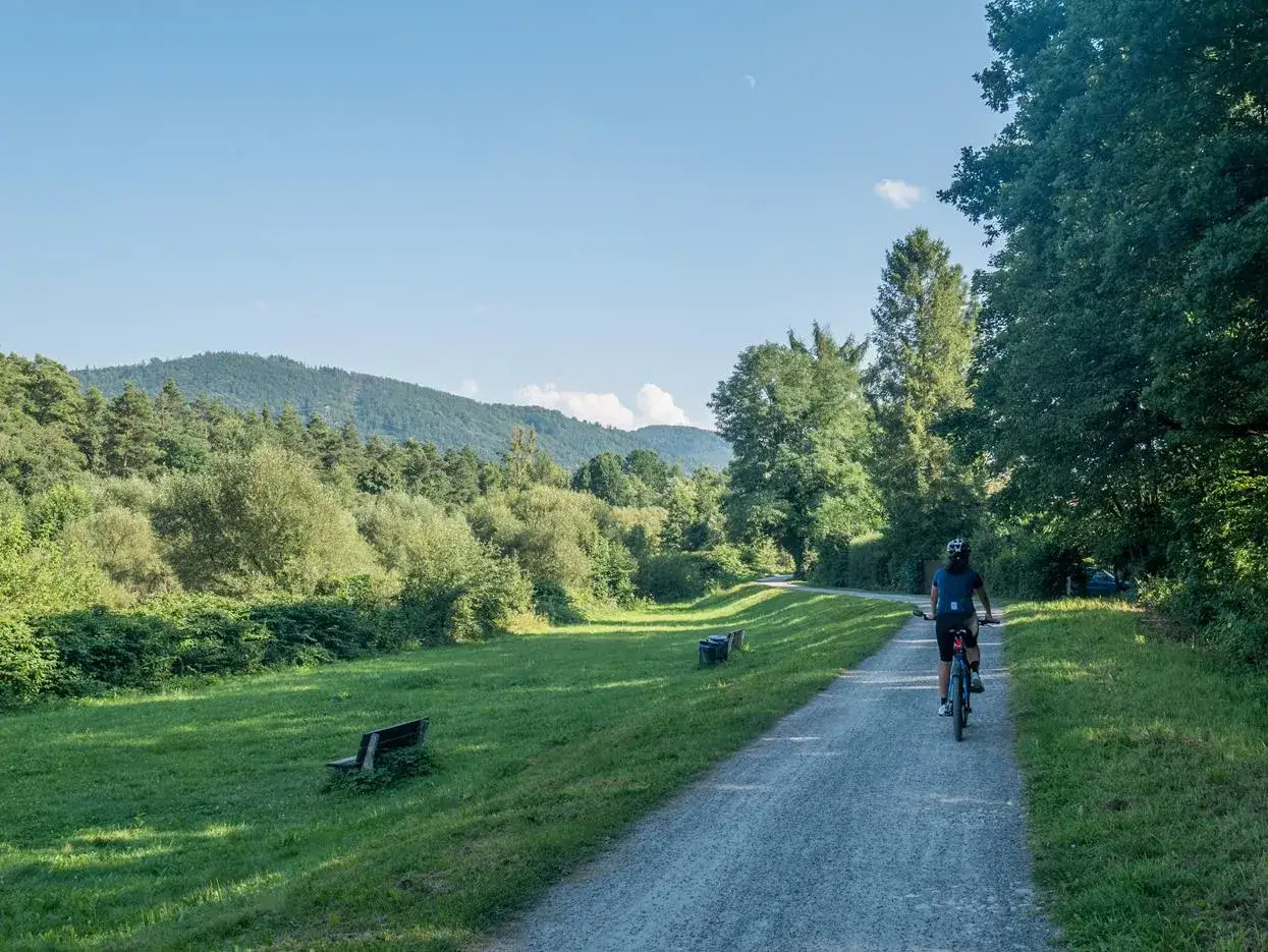 Osoba na rowerze przemierza malowniczą trasę rowerową Skocz&oacute;w-Wisła, otoczoną zielenią i g&oacute;rami.