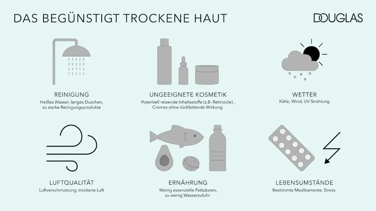 wirksame inhaltsstoffe trockene haut grafik