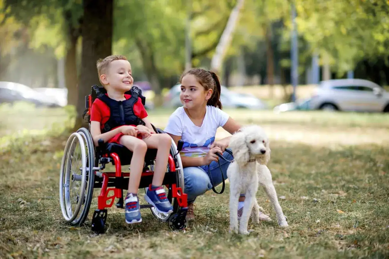 Chłopiec na wózku inwalidzkim, dziewczynka i pudel cieszą się parkiem. Dzieci zmagające się z dmd choroba, jak ten chłopiec, potrzebują wsparcia.