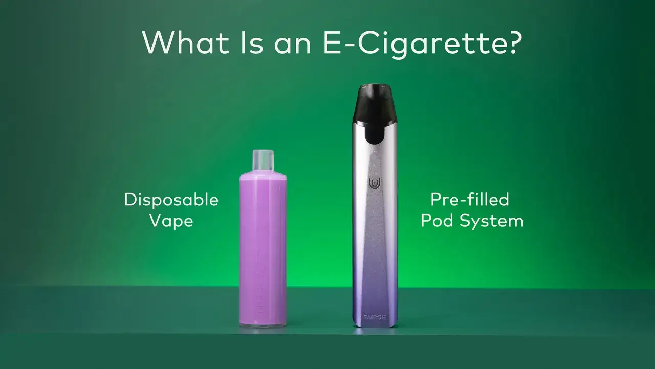 Dos tipos de cigarrillo electr&oacute;nico o vaper: uno desechable morado y otro plateado con sistema de pods.