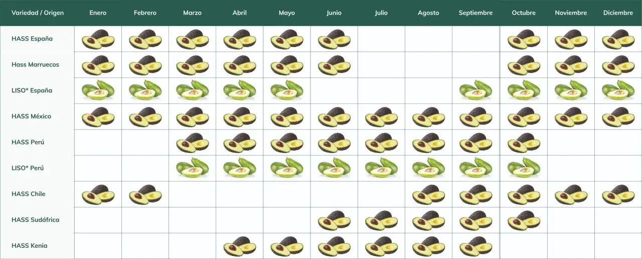 Calendario de aguacates: HASS España tiene su temporada de enero a mayo. Otros orígenes y variedades se muestran para comparar.