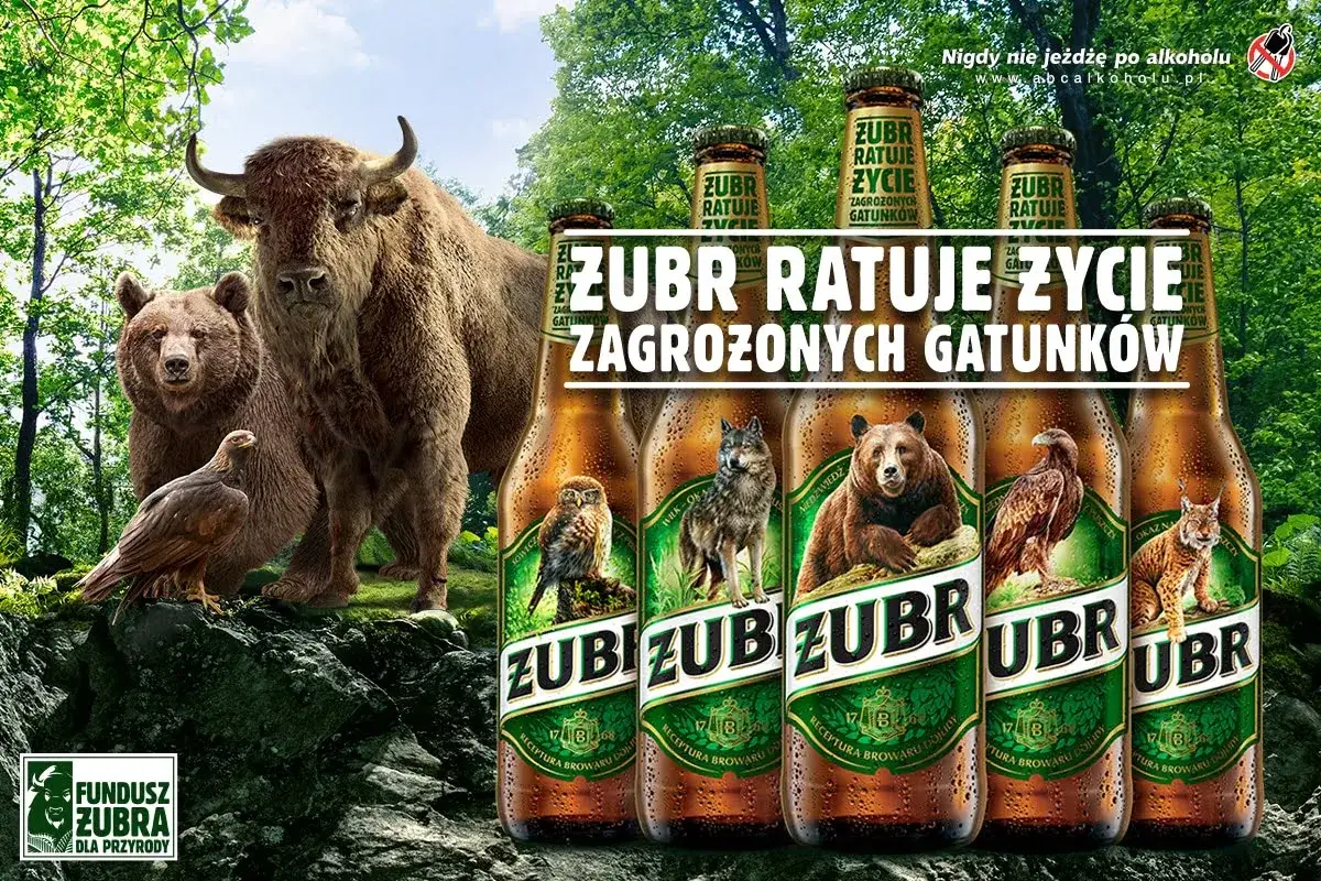 Zubr, symbol Białowieskiego Parku Narodowego, ratuje życie zagrożonych gatunków. Niedźwiedź, wilk, orzeł i ryś na butelkach piwa.
