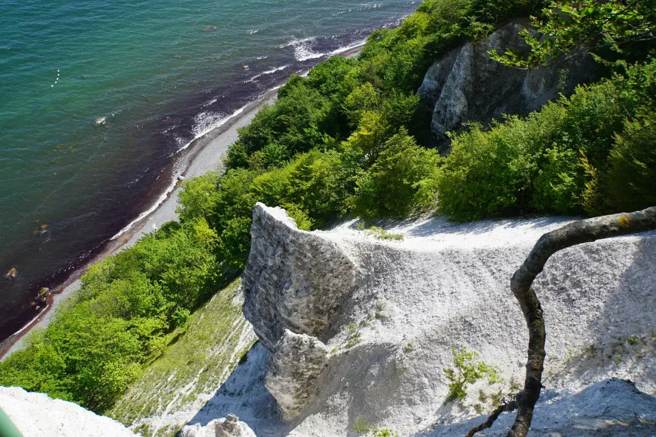 Ein Pfad führt durch den Nationalpark Jasmund. Weiße Kreidefelsen fallen steil zum türkisfarbenen Meer ab, umgeben von üppigem Grün. Perfekt zum Wandern!