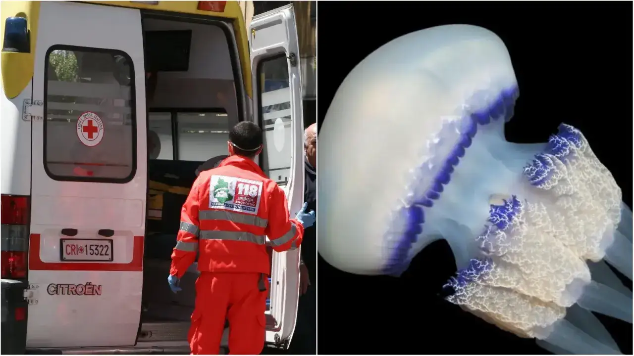 Soccorritori vicino a un'ambulanza, accanto a una medusa. Possibile riferimento a un caso di piqure meduse.