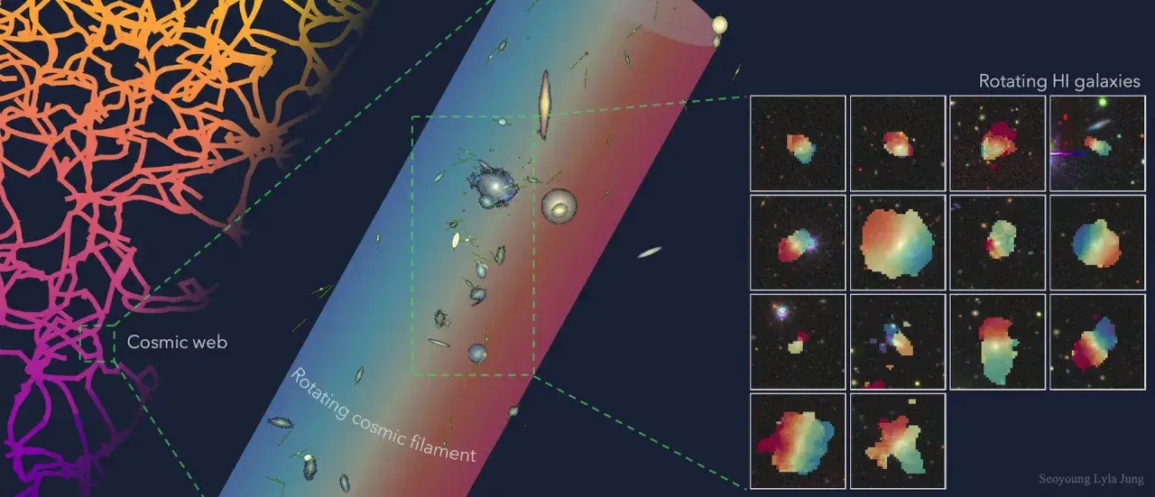 Den kosmiska väven, en struktur av galaxer och gas, visas med roterande galaxer.